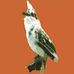 Profile Picture of Ismail Mahamud (@ismail.mahamud.1238) on Facebook