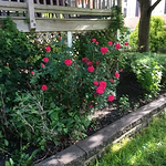 Profile Picture of Erin Quinn (@erinquinn2) on Flickr