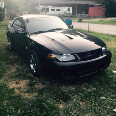 Profile Picture of Adam Meeks (@AdamnCrittle) on Twitter