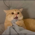 Profile Picture of Daniel Wilson (@__dnlwlson__) on Instagram