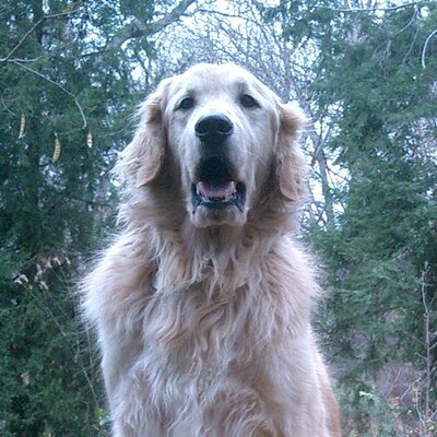 Profile Picture of Clinton Moseley (@@Clinton_Moseley) on Twitter