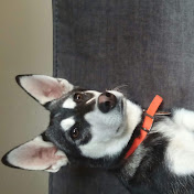 Profile Picture of Michael Cone (@michaelcone) on Youtube