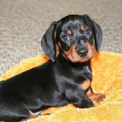 Profile Picture of Andrew Granger (@Granger19) on Twitter