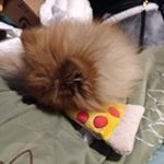 Profile Picture of Stephen Hiser (@dealerdivine69) on Instagram