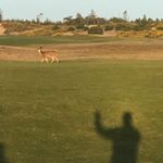 Profile Picture of maxmccain (@maxmccain) on Instagram