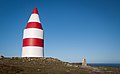Profile Picture of Daymarkon Wikipedia