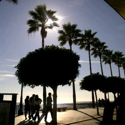 Profile Picture of Galip Selcuk (@galipselcuk) on Twitter
