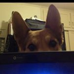 Profile Picture of Jonathan Farber (@farbzs) on Instagram