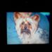 Profile Picture of Candy Jarvis (Wight) (@candy.wightjarvis) on Facebook