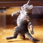 Profile Picture of valiente (@miguel.monteagudo) on Instagram