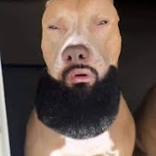 Profile Picture of Landon Gartee (@DogDestroyer420) on Youtube