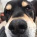 Profile Picture of Melissa Weeks (@melissa.cooper.5055) on Facebook