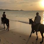 Profile Picture of Kevin Joseph (@yellowtrailsantigua) on Instagram