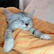 Profile Picture of Beatriz Aleman (@beatrizaleman8515) on Youtube