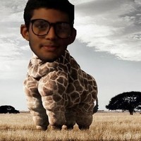 Profile Picture of Adrian Cho (@adrian-cho-3) on Quora