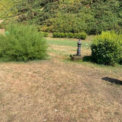 Felix Ariza Calvo - Twitter Profile Picture of Felix Ariza Calvo (@FelixArizaCalv1) on Twitter