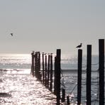 Profile Picture of James Kafka (@James-Kafka) on Facebook