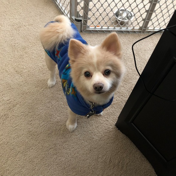 Profile Picture of Rosemary Formanek (@raformanek) on Poshmark