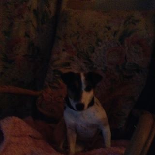 Amelie Lacasse - Facebook Profile Picture of Amelie Lacasse (@Amelie-Lacasse) on Facebook