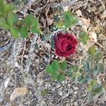 Cruz Pagan - Instagram Profile Picture of Cruz Pagan (@pagan.cruz) on Instagram