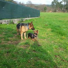 Profile Picture of Alfonso Calvo (@alfonso.calvo1) on Tiktok