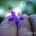 Profile Picture of Lisa Hardeman (@lisa.hardeman.54) on Facebook