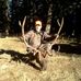 Profile Picture of Martin Wetzel (@martin.wetzel.946) on Facebook