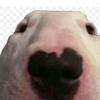Profile Picture of johnpardoe986 (@@johnpardoe986) on Tiktok