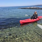 Profile Picture of Jane Chisholm (@janeberrychisholm) on Instagram