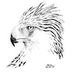 Profile Picture of ALkhaliq Malawi Calala (@alkhaliq.calala) on Facebook