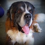 Profile Picture of Shawn Ravenwolf (@sound_n_fury77) on Instagram