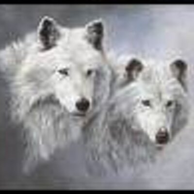 Profile Picture of Pam Clay (@clay_pam) on Twitter