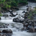 Profile Picture of Brandy Schrenker (@a_persons_mum) on Instagram