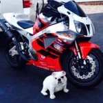 Profile Picture of Vincent Parrotta (@boomdwn) on Instagram