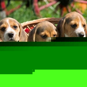 Profile Picture of Laura Garganta (@361492096) on Myspace