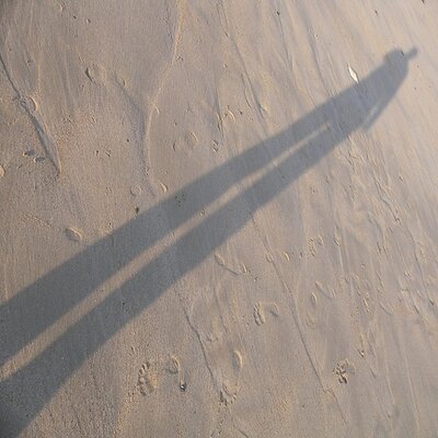 Profile Picture of Tom Oberlé (@_bronto) on Twitter