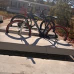 Profile Picture of Tyler Enmancurtis (@Tyler-Enman-curtis) on Facebook