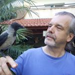 Profile Picture of Joerg-Michael Bierwirth (@joergmichaelbierwirth) on Instagram