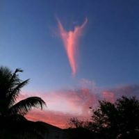 Profile Picture of Vickie Klein (@vickie-klein-2) on Quora