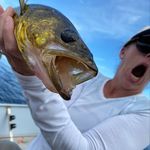 Profile Picture of Jennifer Robins (@jenrobss) on Instagram