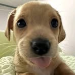 Profile Picture of Marlex Ray Cahayag (@jerian.cahayag.54) on Facebook