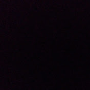 Profile Picture of David Primo (@davidprimo2267) on Youtube