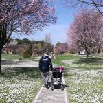 Profile Picture of Luigi Iaccarino (@luigigigno) on Instagram