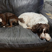 Profile Picture of Chris Prouse (@chrisprouse3628) on Youtube