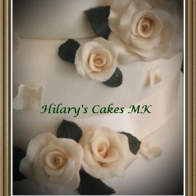 Hilary Casey - Twitter Profile Picture of Hilary Casey (@HilaryCasey61) on Twitter
