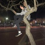 Profile Picture of Sam Cottrell (@sam.cottrell.david) on Instagram
