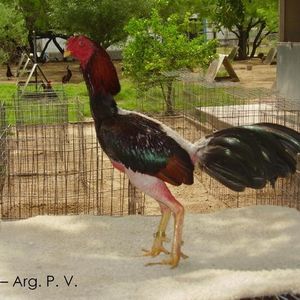 Profile Picture of Rigoberto Rosas (@375543819) on Myspace