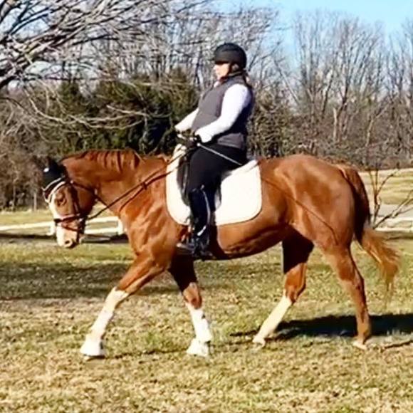 Profile Picture of Ashley Meeder (@ashmeeder) on Poshmark