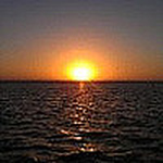 Profile Picture of Captain Dave Graham (@saltydscharters) on Flickr