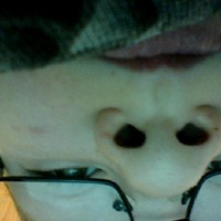 Profile Picture of Mick Yermolin (@mick-yermolin) on Quora